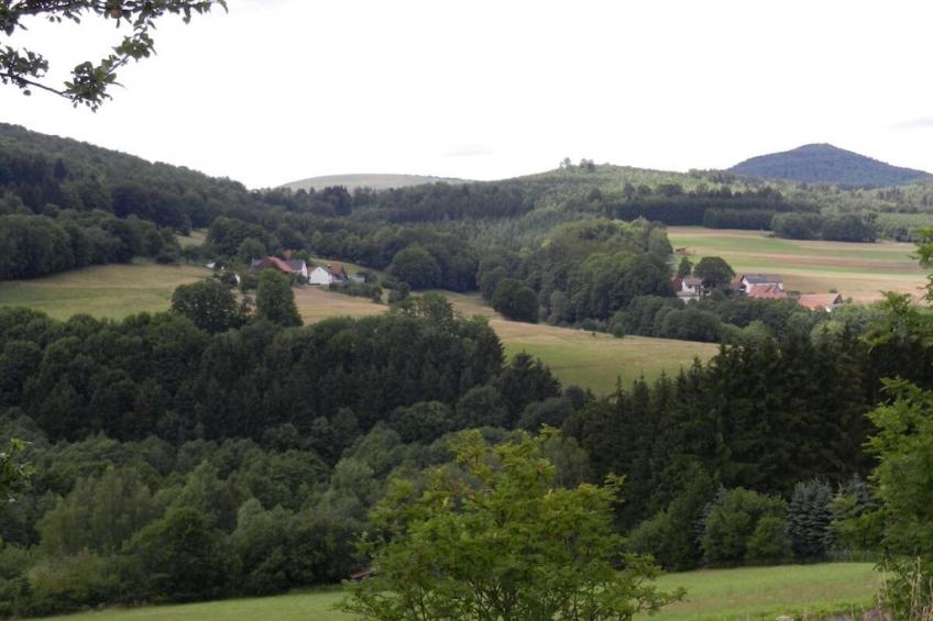 182713 - foto 11
