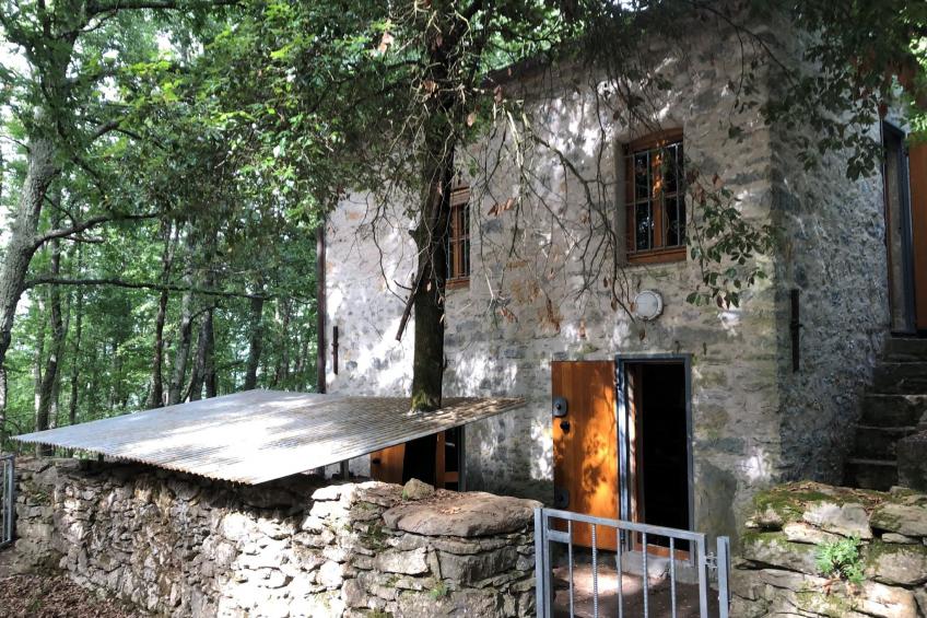Kirschbäume, eine Oase im Wald zwischen Meer und Natur - foto 40
