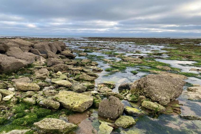 Le Village des Amareyeurs - foto 23