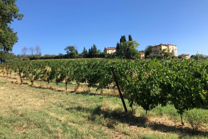 Bauernhof-Scheune - foto 15