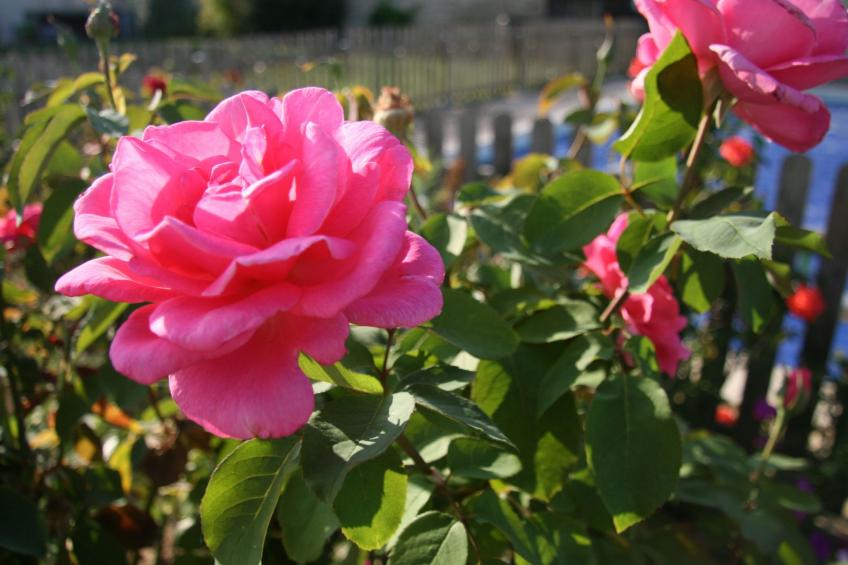 Loire Escapes - Gites für Selbstversorger auf dem Lande in Frankreich - ein fri - foto 28