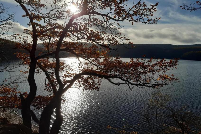 Resort Eifeler Tor 3 - foto 32