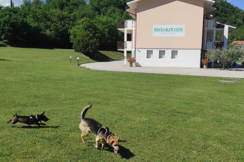 Wohnung in Costermano mit privatem Parkplatz - foto 25