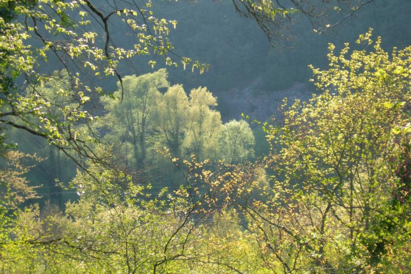 'Palazzo Bufalini - foto 26