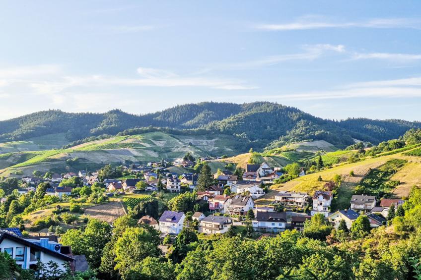 Schwarzwald Königin - foto 8