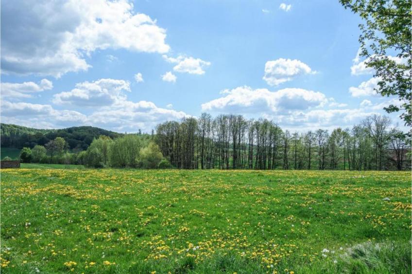 Feriendorf Natur pur - foto 28