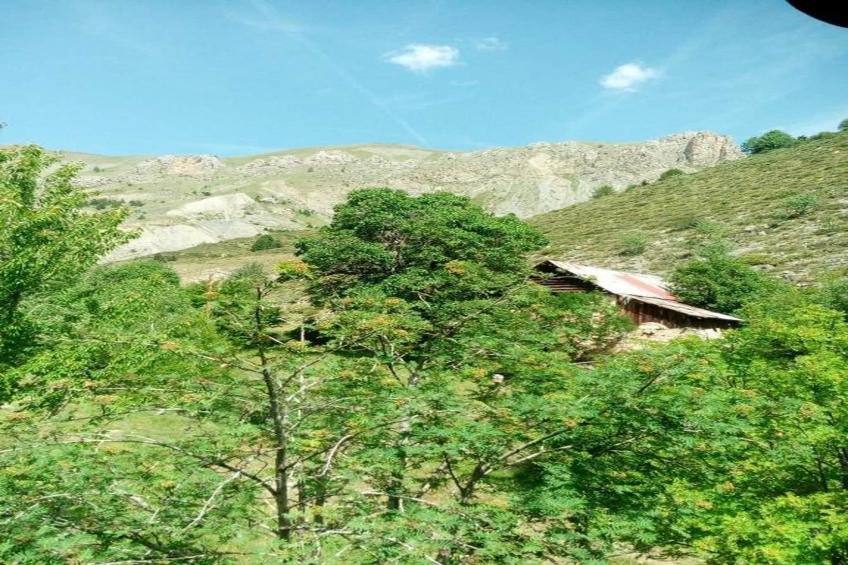 Le Mont d'Auron 3 - foto 38