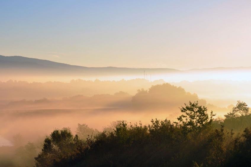 Sonnenblume Wohnung - foto 12