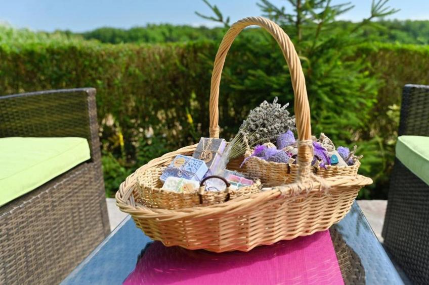 Lavanda Land - Villa Tanya Mrežnica - Three Bedroom Holiday Home with Hot Tub - foto 28