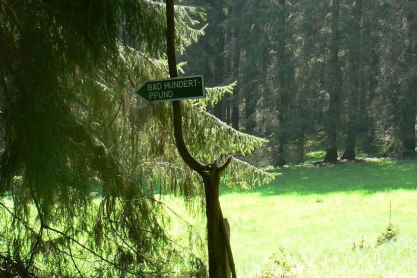 für 6 Personen im Thüringer Wald - foto 16