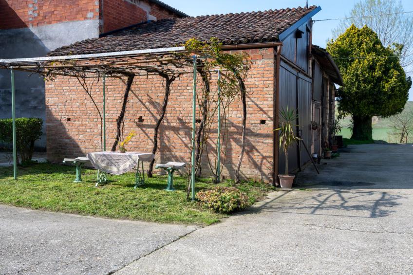 Barba Pipin - foto 25