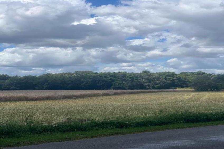 Maison de vacances - ST MAURICE SUR AVEYRON - foto 36