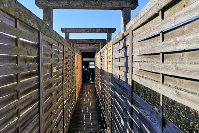 Village de vacances am Weinberg, Dobbrikow - foto 27