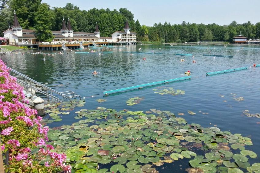 auf großem Gartengrundstück - foto 28