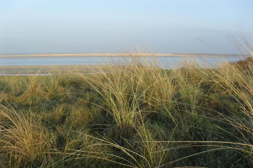 Sainte Godeleine - foto 36