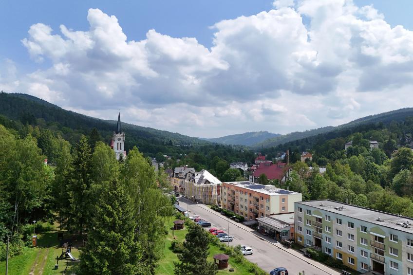 Forest line - foto 24