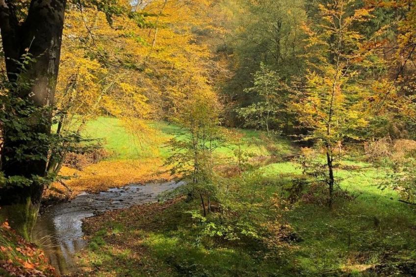 Urbane Remise - foto 21