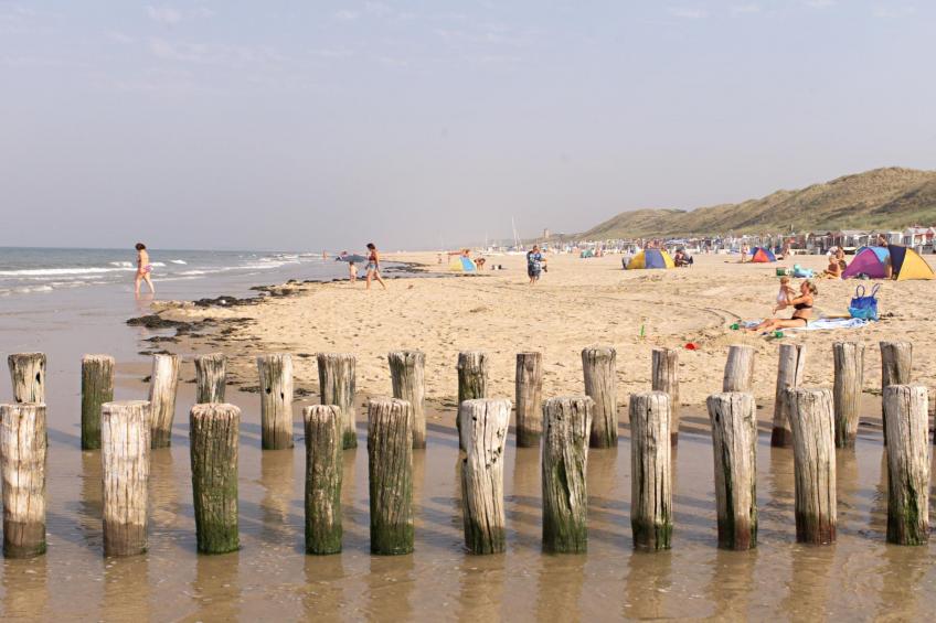 Noordzee Résidence Dishoek 12 - foto 12