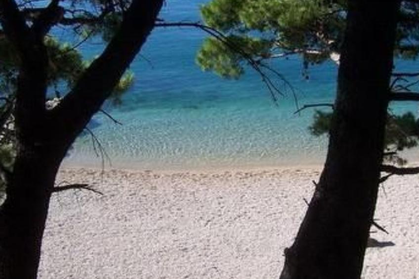 Villa Dusanka - foto 39