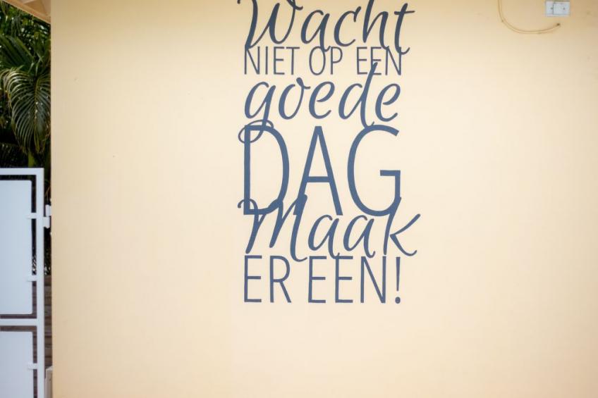 Villa Drumi Dushi met privé zwembad - foto 5