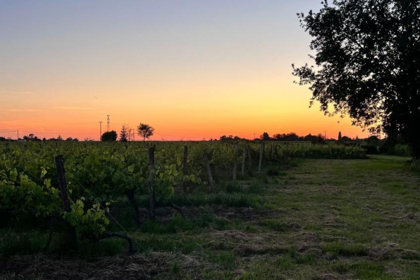 Lindenblau - foto 16