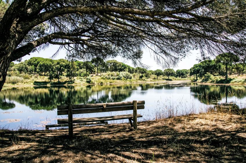 Herdade de Montalvo - foto 14