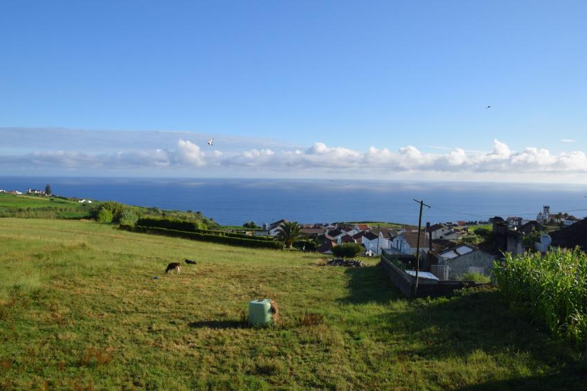 Tolles Ferienhaus in Santana mit Großer Terrasse - foto 19