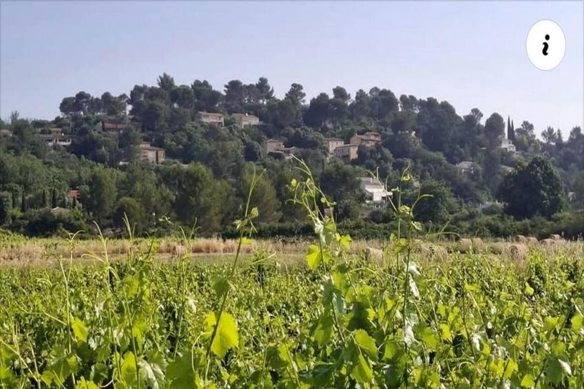 Les Lauriers-Roses - foto 13