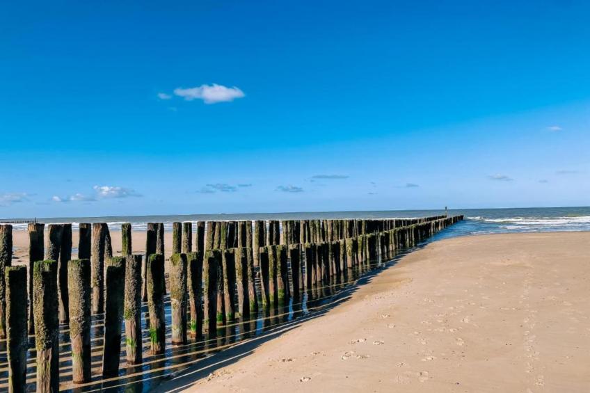 Résidence Wijngaerde - foto 23