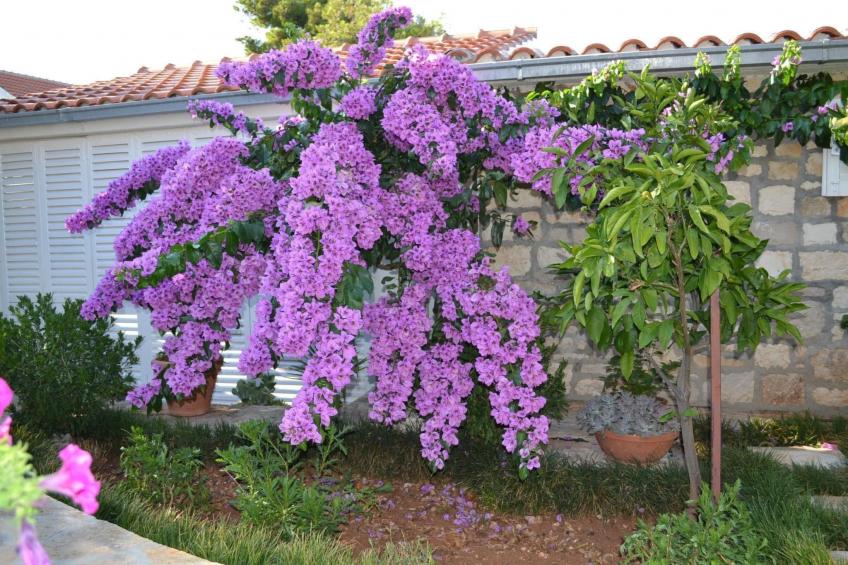 Rollstuhltauglich, Terrassen am Felsenstrand - foto 6