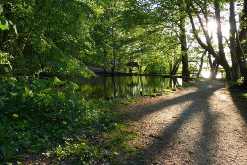 Ostseezauber XL - foto 37