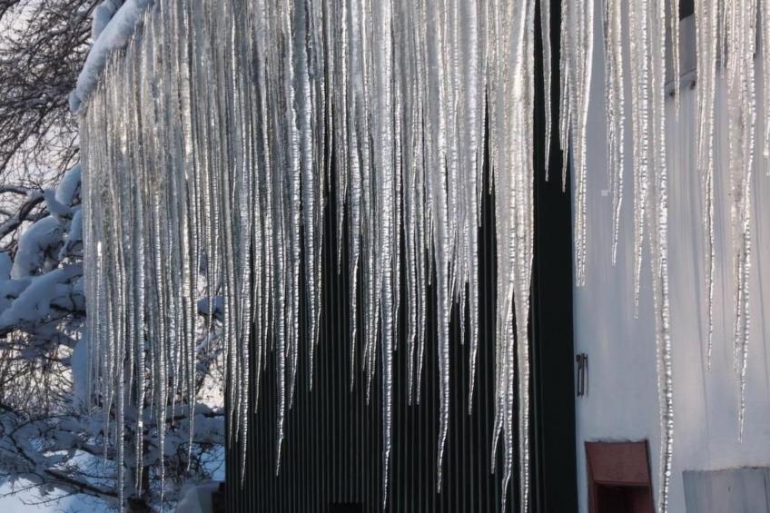 Exklusives Ferienhaus mit Terrasse und Garten - foto 40