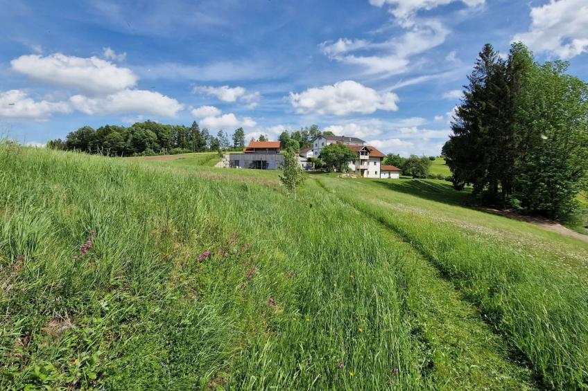 Hoizhaus am Badlberg - foto 20