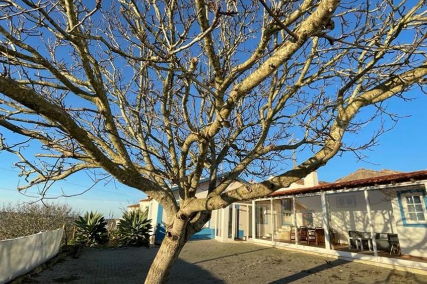 Der Sonnenuntergangs-Spot - foto 27