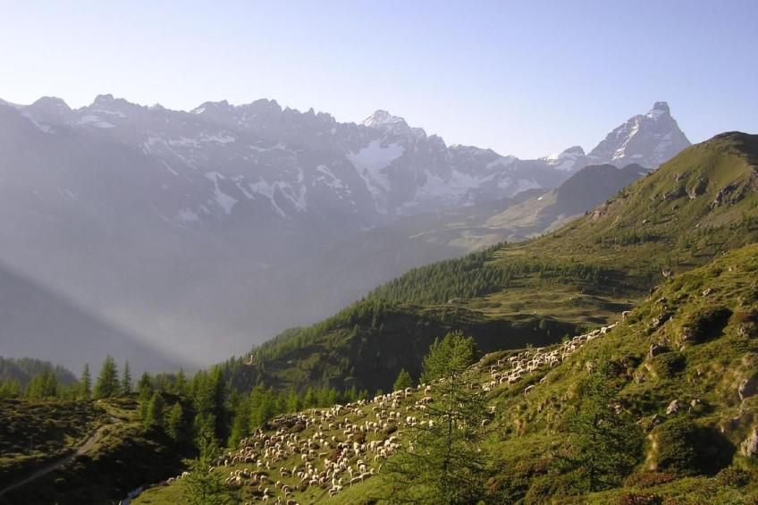 'Lo Chalet' der Balkon über dem Matterhorntal - foto 12