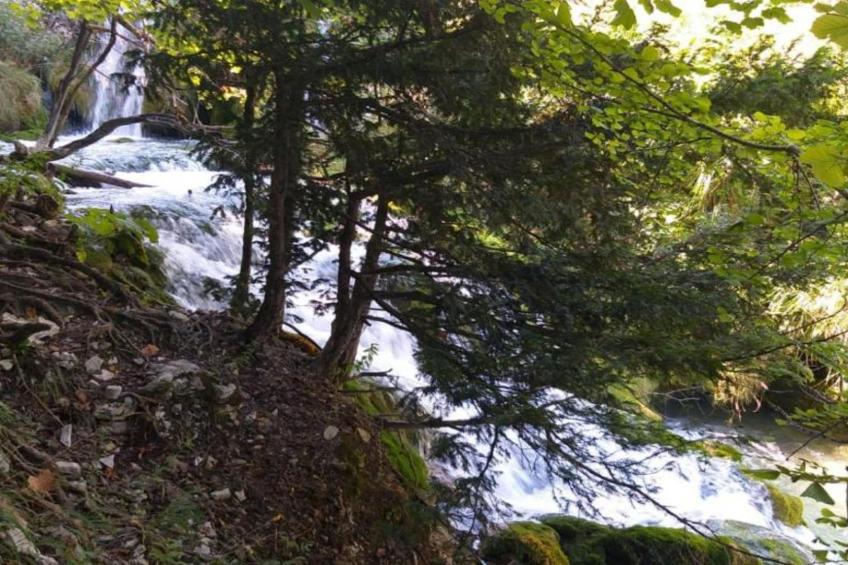 Holiday Apartment Vuković - Three Bedroom Holiday Home With Terrace - foto 28