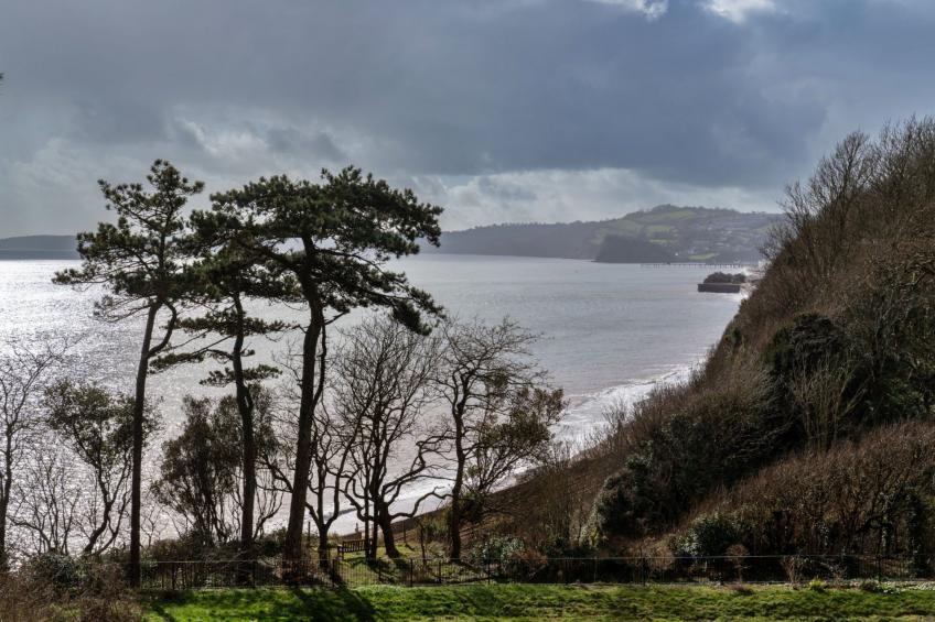 The Willows - foto 4