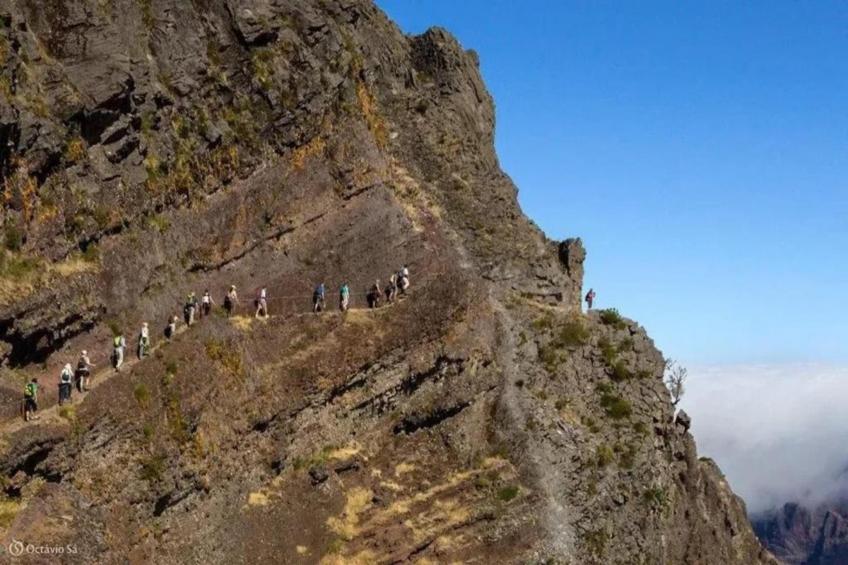 Quinta das Colmeias House - foto 28