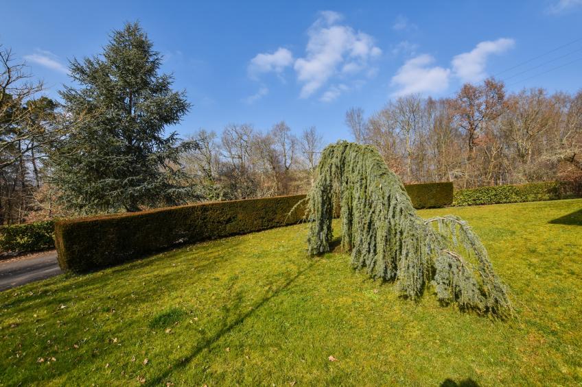 La Maison Albizzia - foto 17