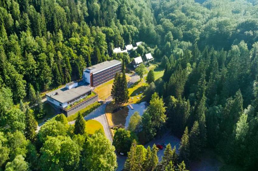 Schwarzbachtal - Double room Forest view without balcony - foto 39