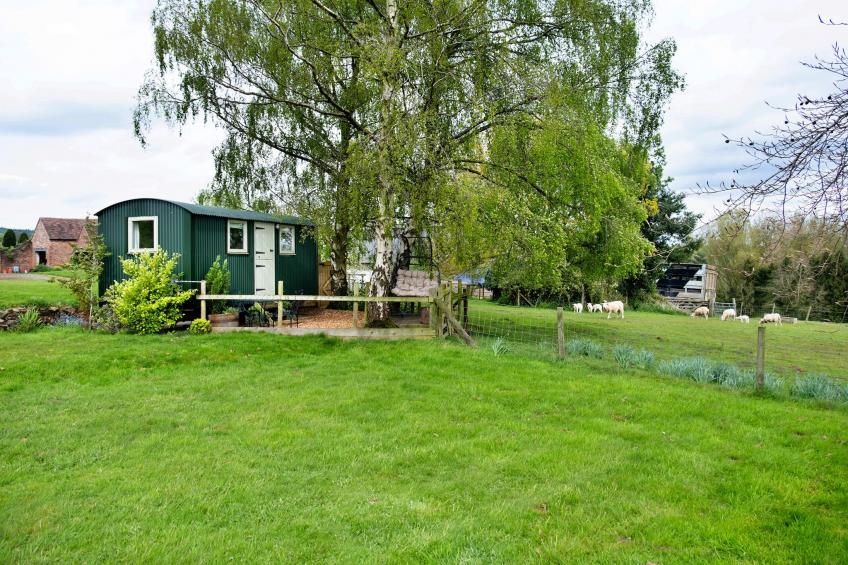 Hay and Hedgerow Glamping - foto 22