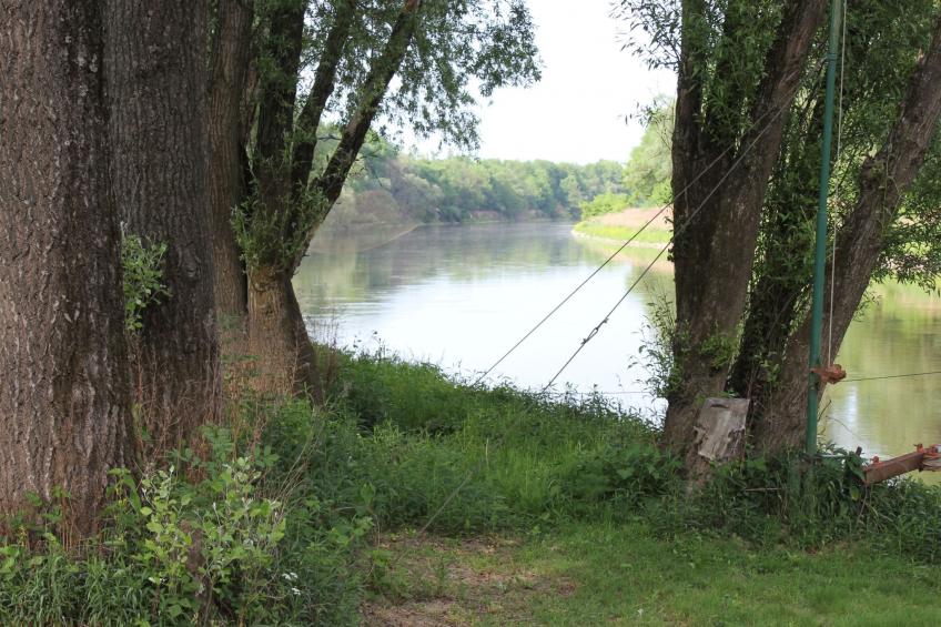 in Angern an der March - foto 8