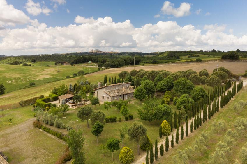 LA RICCA VIOLA - foto 37