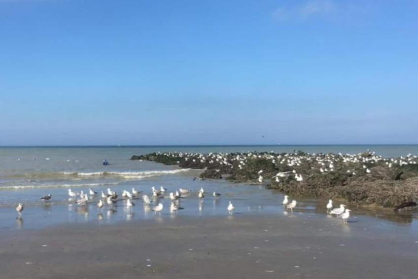 Normandie - foto 28