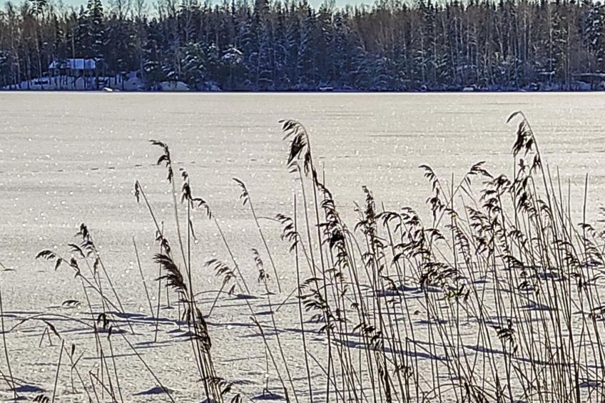 Annelinniemi - foto 26