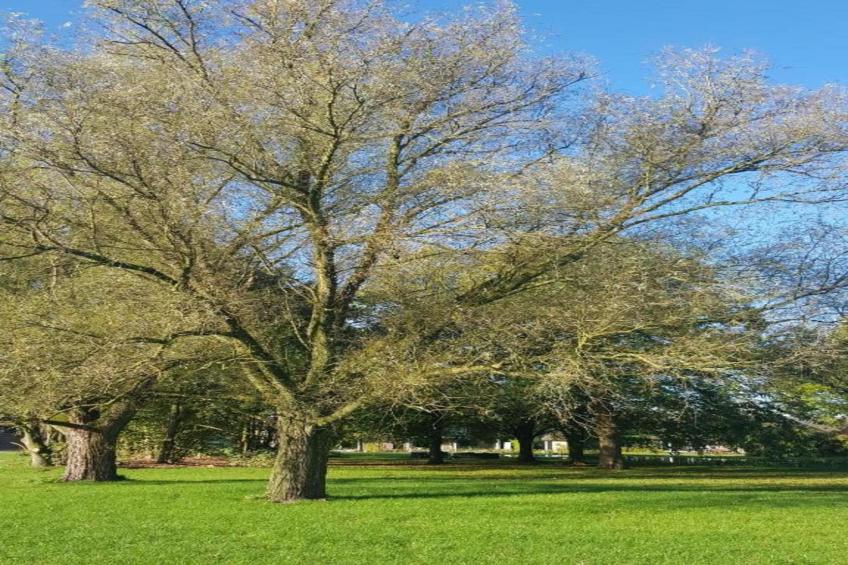 Parc de Kievit 17 - foto 28