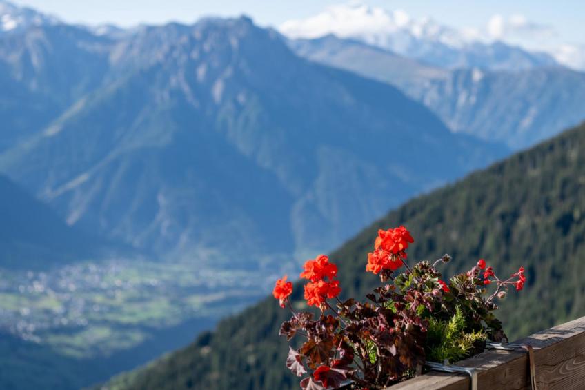 Appartementhaus Zurschmitten 10 - foto 17