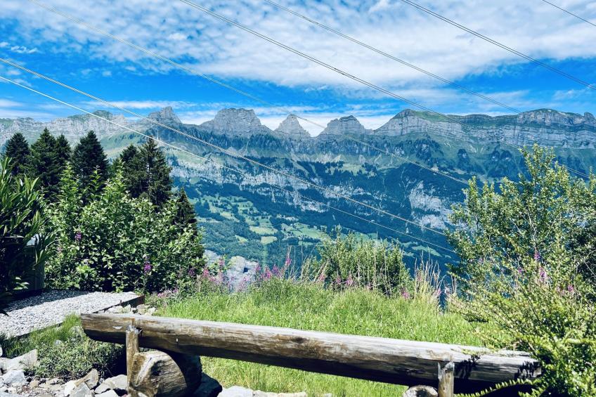 Chalet Wiesehöckli (CharmingStay). 3 Zimmerwohnung Bad/Dusche/Balkon/Aussen-Whi - foto 2