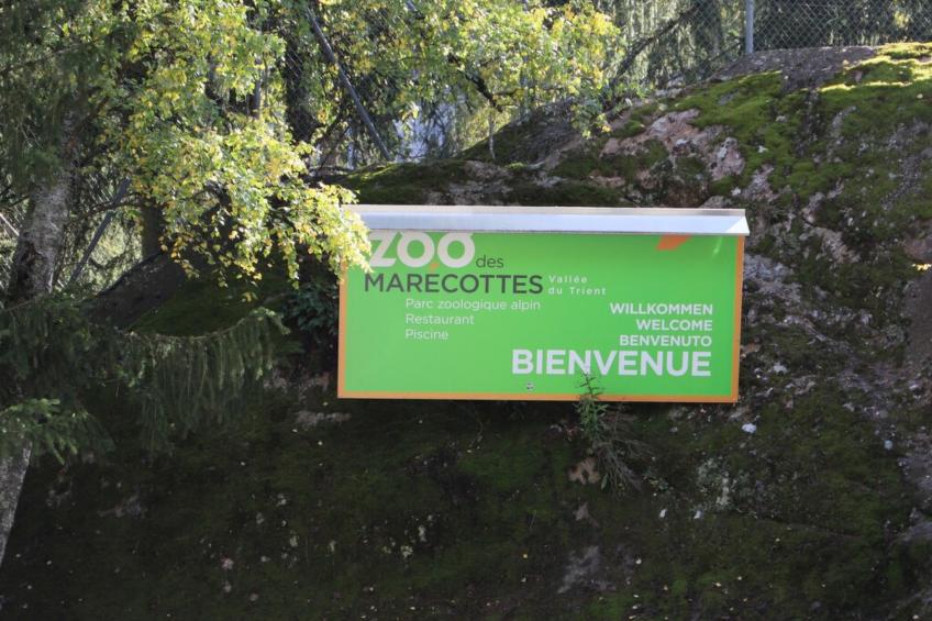 Cosy & Star - Salvan - Les Marécottes - Swiss Alps - foto 10