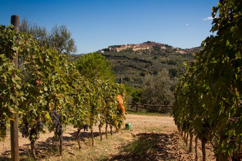 Le Finestre - foto 21